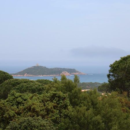 Villa Pietra Rossa 생트-뤼시 드 포르토-벡시오 외부 사진