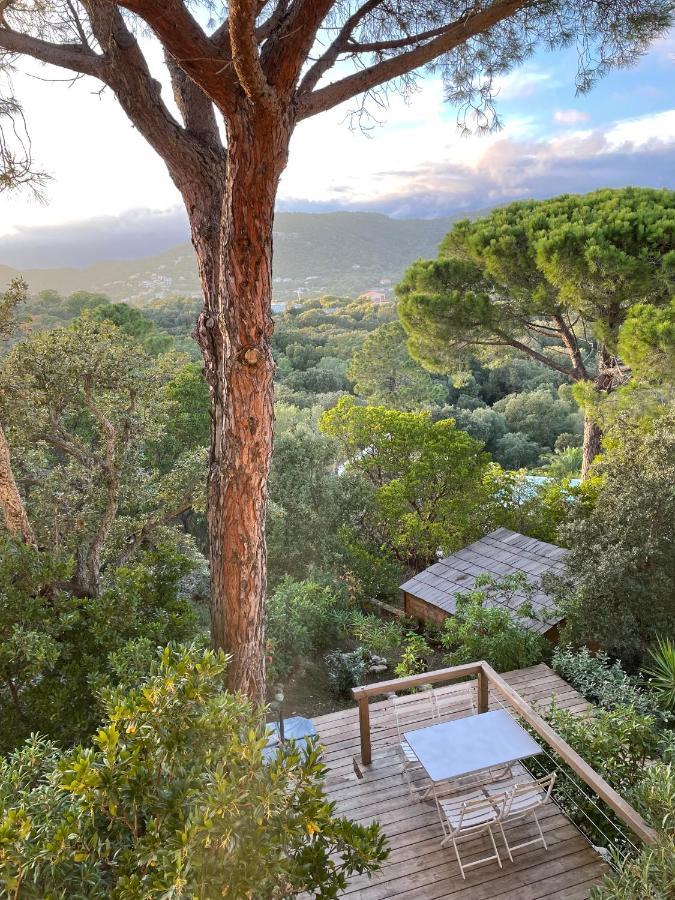 Villa Pietra Rossa 생트-뤼시 드 포르토-벡시오 외부 사진